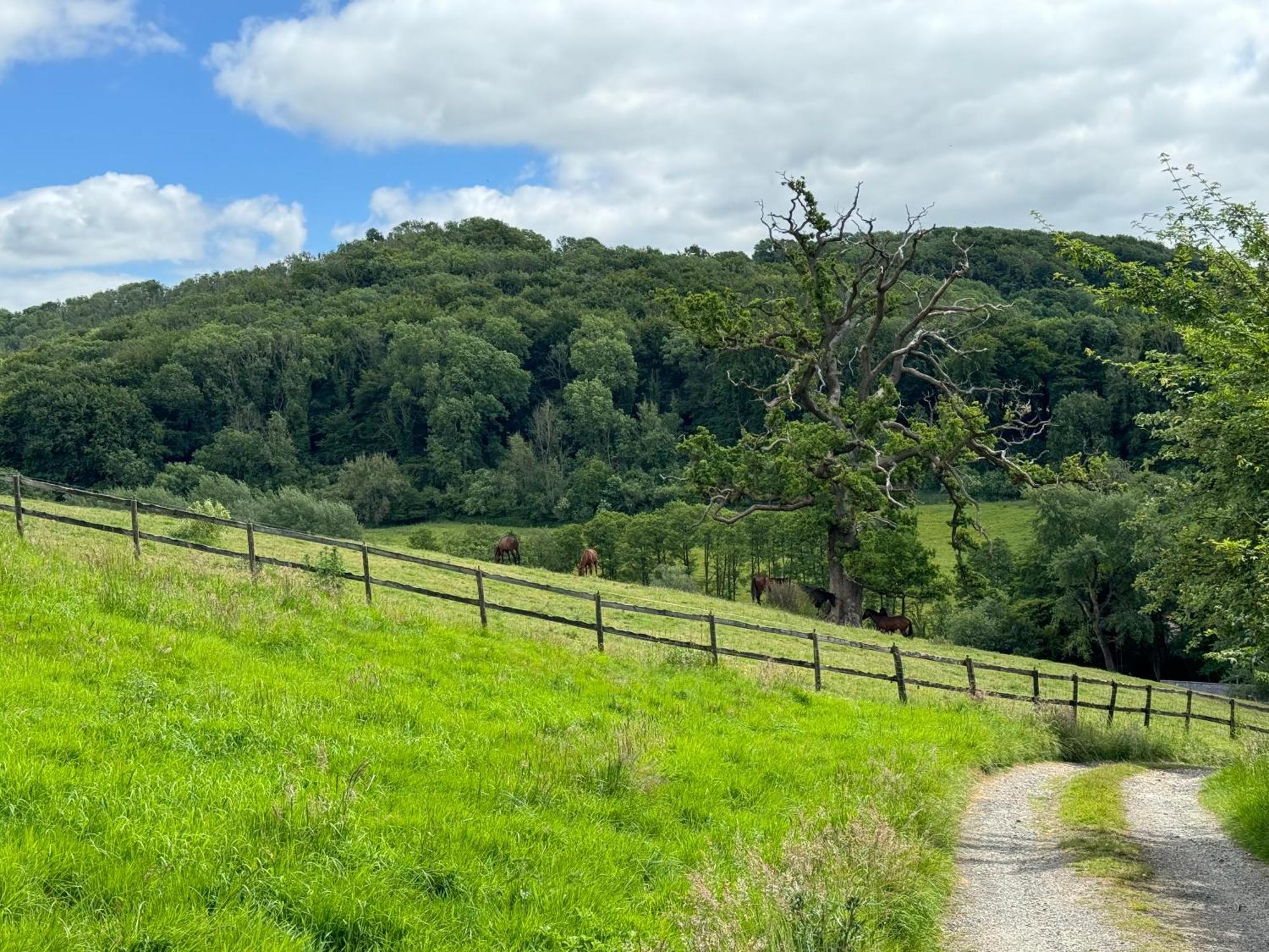 The Spring Slad Valley Cotswolds Painswick Exterior foto